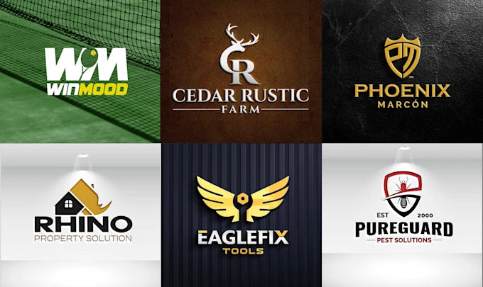 I will design a professional brand logo design